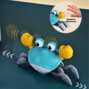 Brinquedo Sr. Caranguejo Joy - Recarregável USB