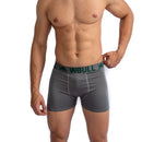 Kit 4 Cuecas Box Boxer Microfibra + 3 Pares de Meias Soquete de Algodão